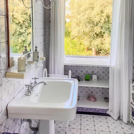 Villa Giulia *